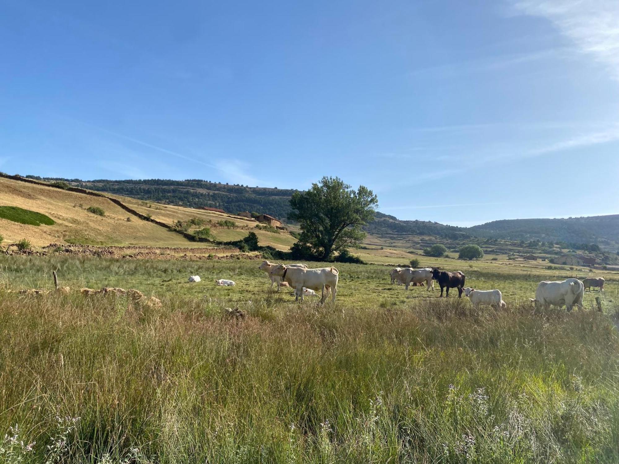 Вилла Casa Rural El Olmo Гудар Экстерьер фото